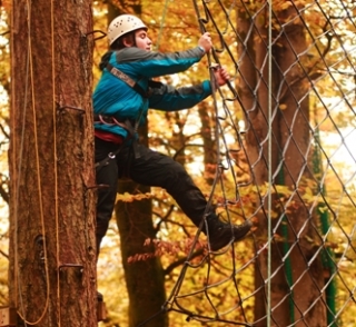  Disfruta columpiándole de los árboles 